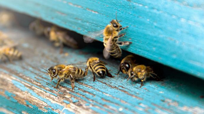 Підвищення кваліфікації за напрямками